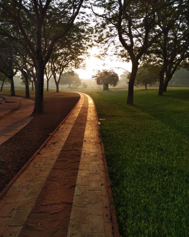 IMG_20190221_0701598